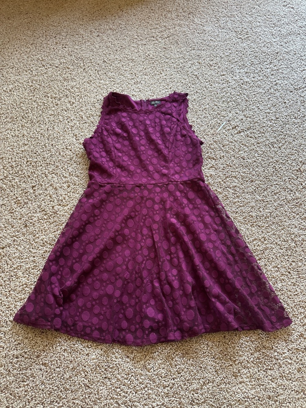 Lily Rose Sleeveless Plum Dot-Textured Casual Dress